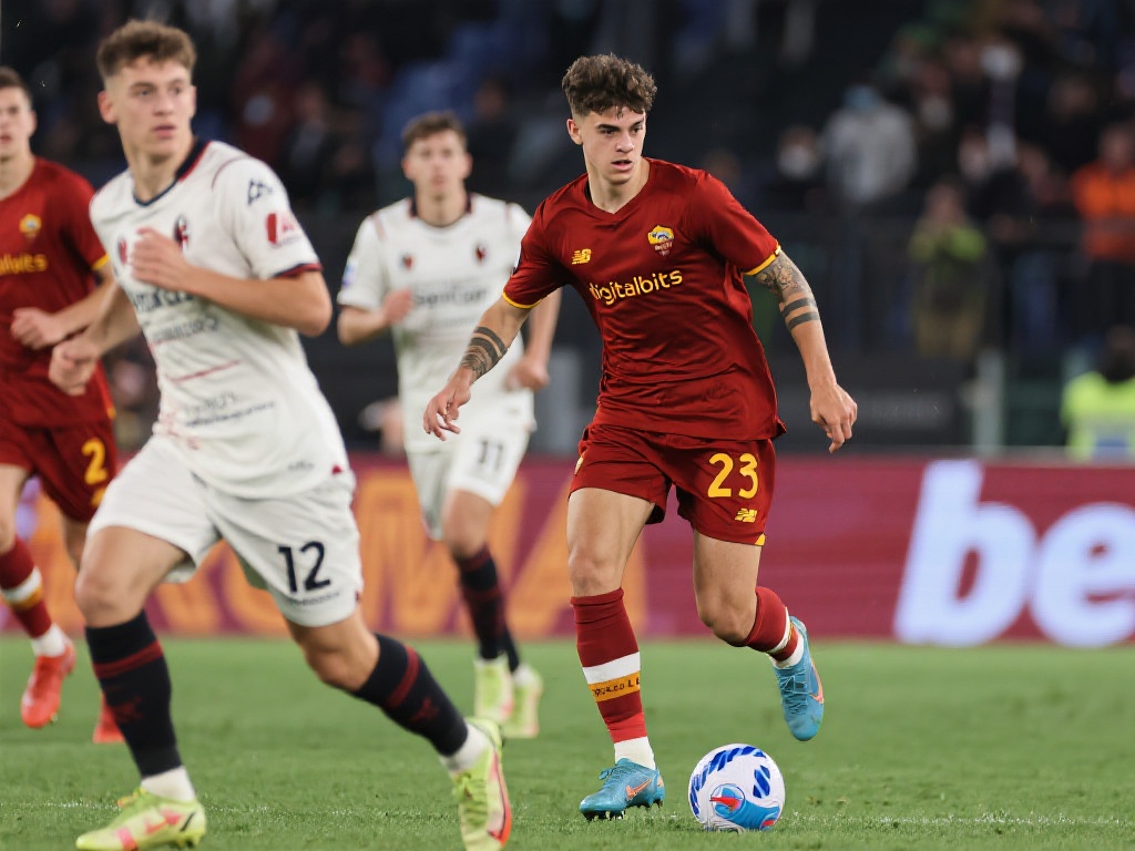 绽放光芒 绽放光芒